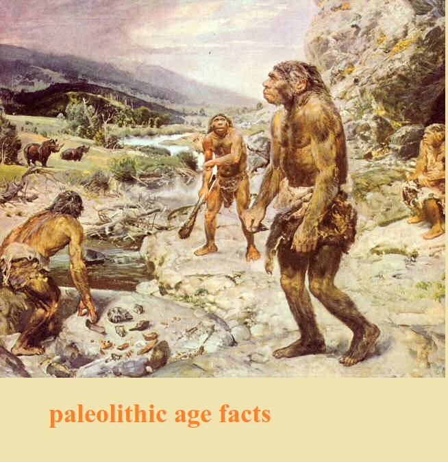 paleolithic age